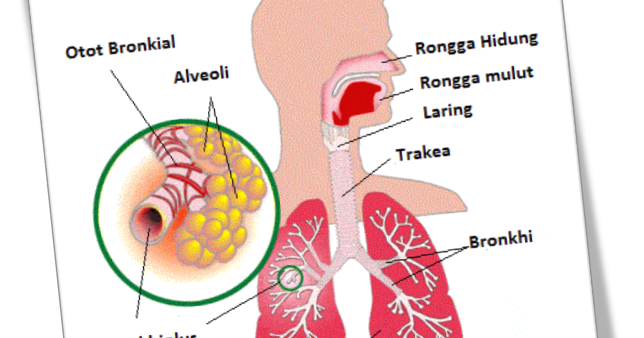 Sains Tingkatan 3 Bab 2