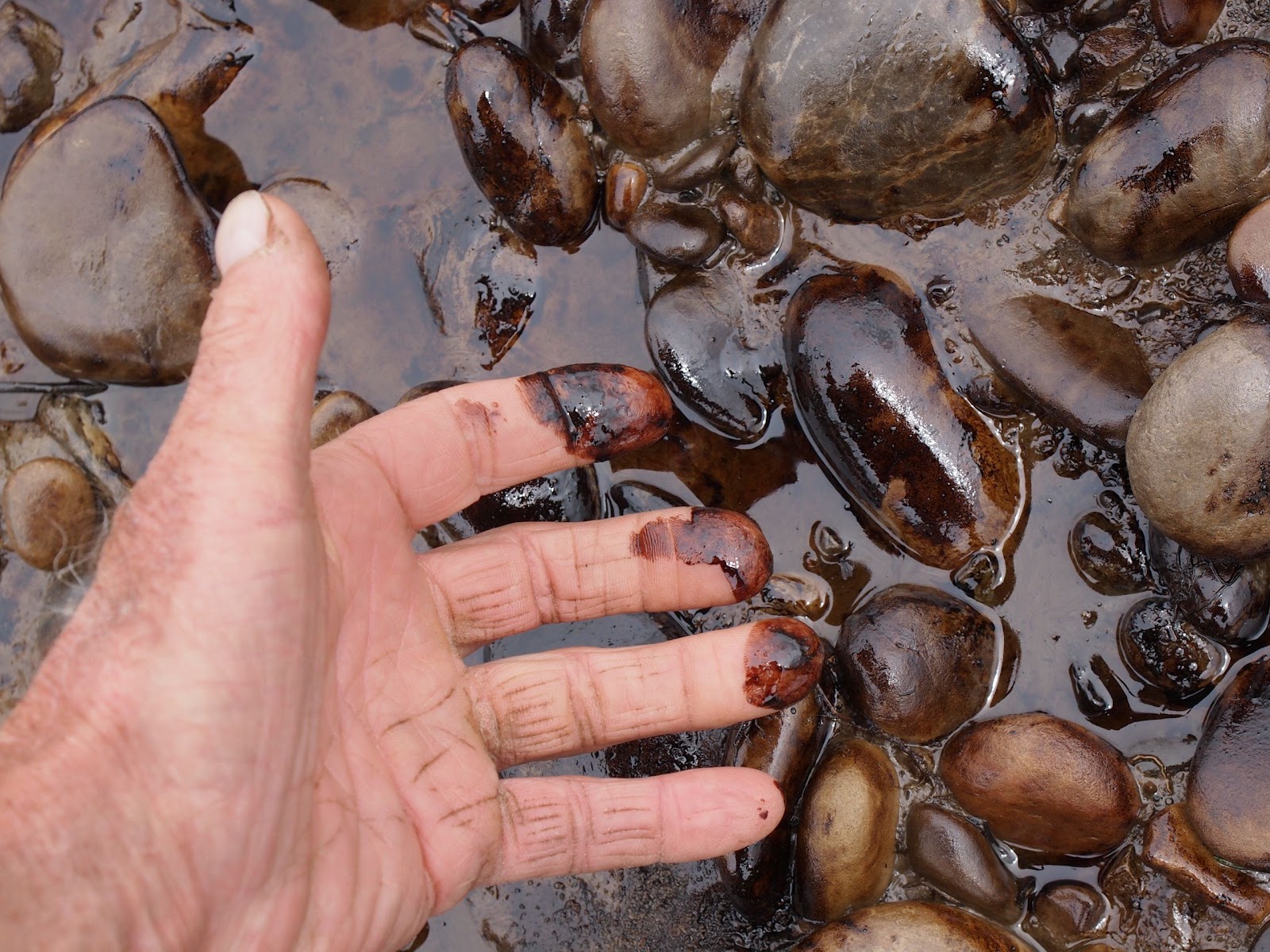 Alberta West Photos Red Deer River oil spill, June 8