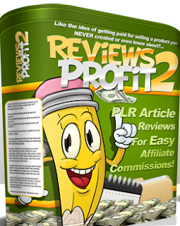 Review writing business