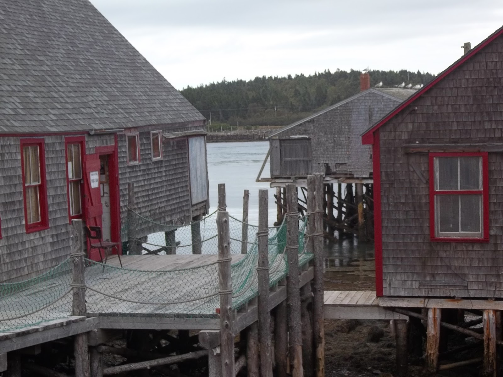 Wicked Awesomology Cobscook Bay State Park in Downeast Maine