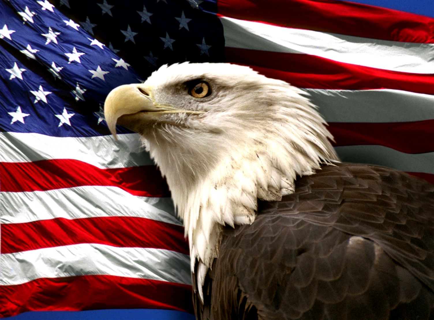bald-eagle-american-flag-photos-image-wallpapers-hd