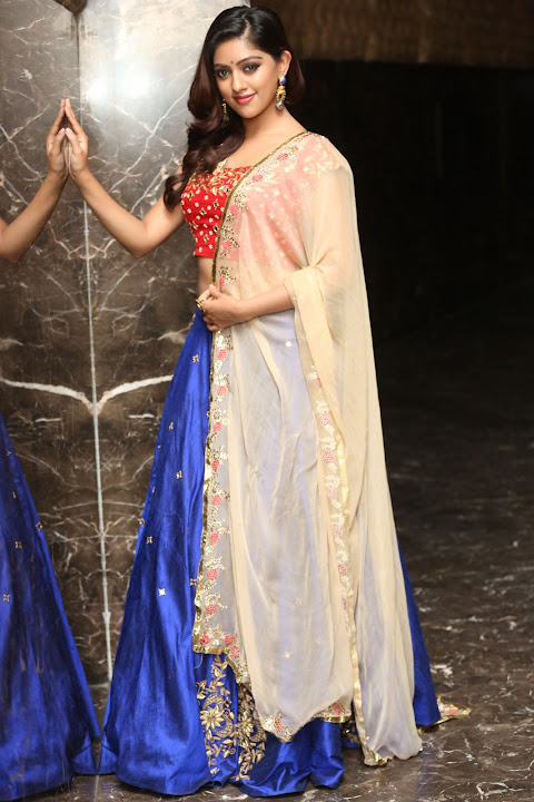 Anu Emmanuel at Majnu Audio launch 24