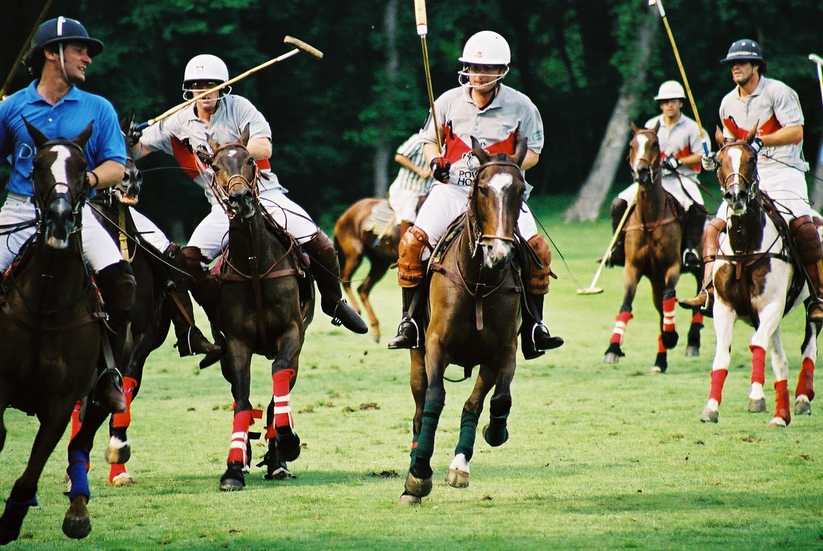 Barbietch Polo Game and Beautiful horses