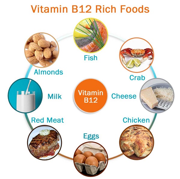 B12 مصادر فيتامين Top 10