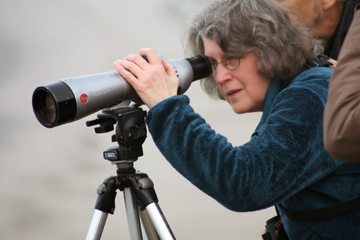 Checking out the gulls at Stinson Beach--2014