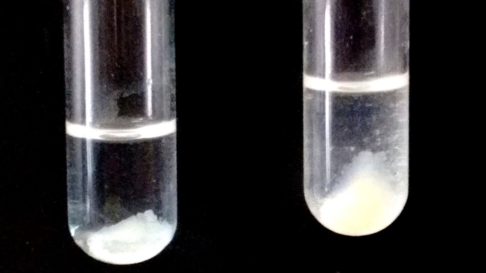 Protein Precipitation Solution Protein Choices