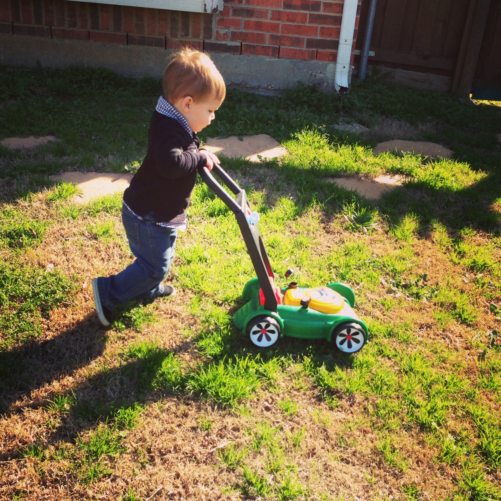 The Link Home yard work