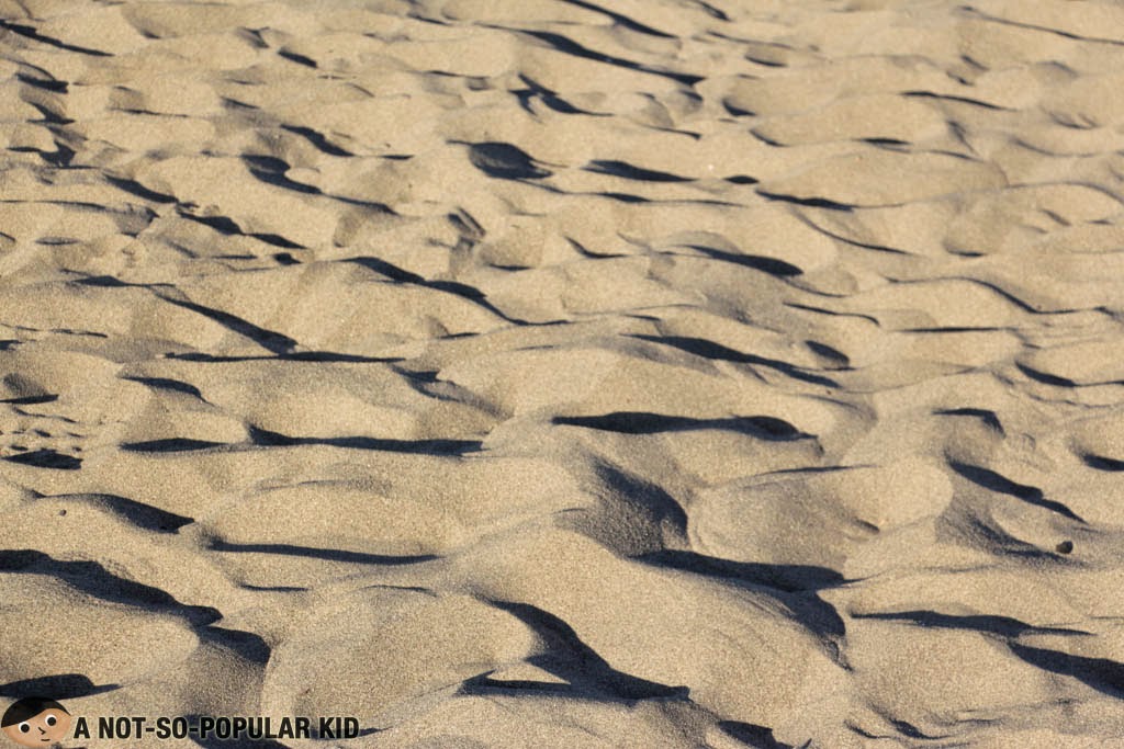 The fine soft sands in the Sand Dunes of Paoay, Ilocos Norte