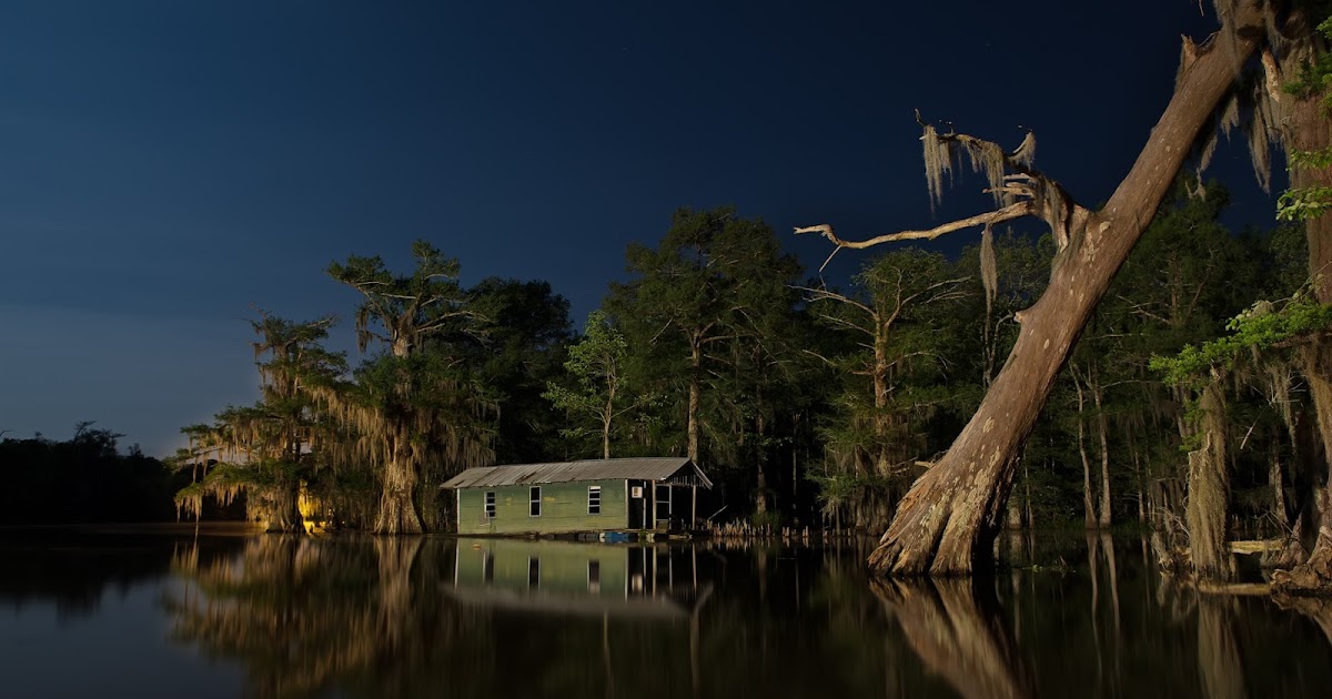 Bayous and Swamps of Louisiana Avoca Green House near Leaning Mossy