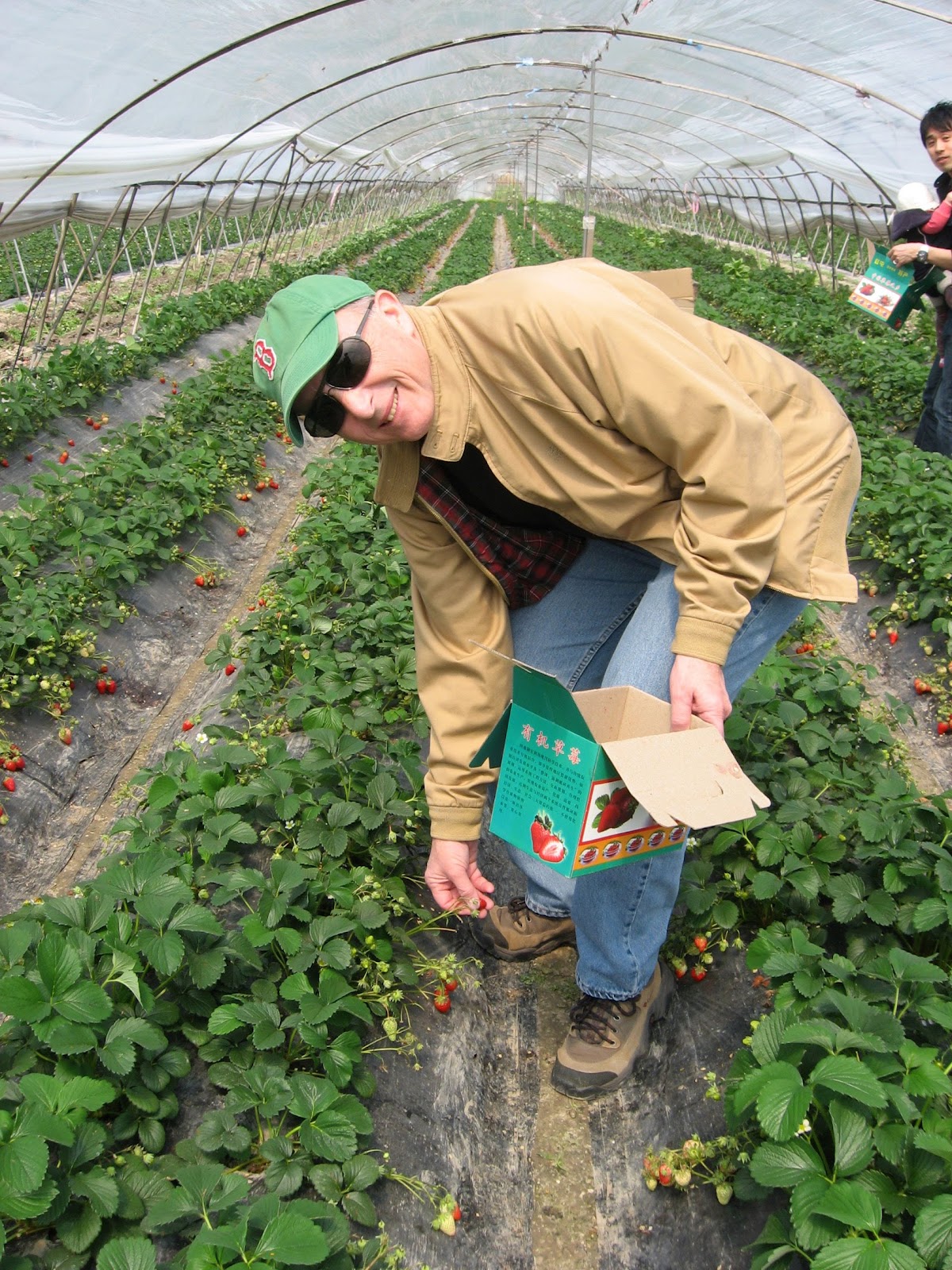 Jax Stumpes Strawberry Picking (3/31/2012)