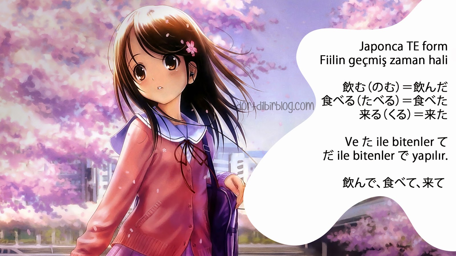 Birkaç Japonca grammar ve Korece kelime