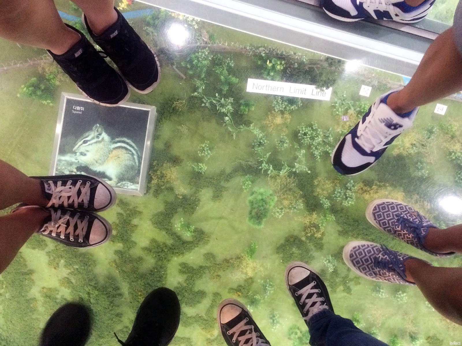 Seoul, Korea - Summer Study Abroad 2014 - DMZ Museum crossing the model border North and South Korea