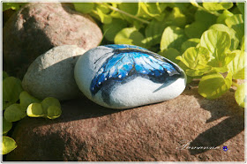 motyle świata, Butterflies of the world, painting on the rock, rock art, stone art. Morpho cipris