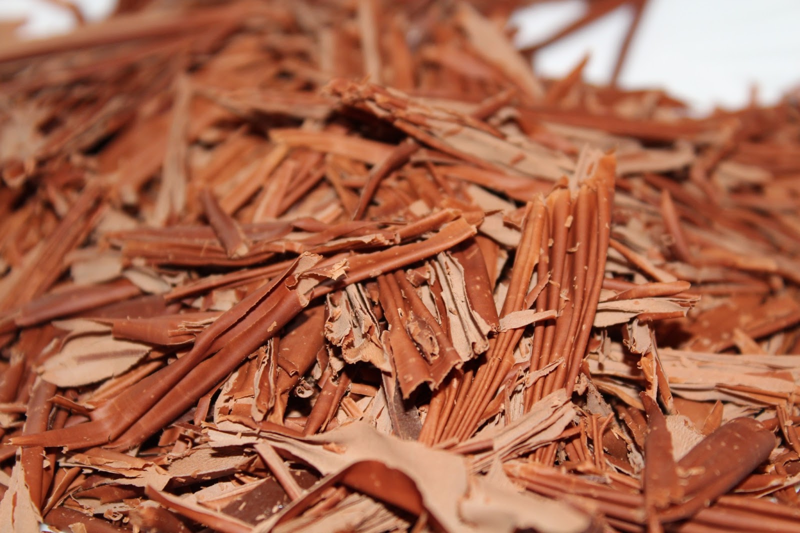 Through Sara's eyes... Copeaux de chocolat