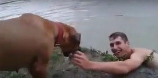 Un hombre se hace el ahogado y su perro lo salva