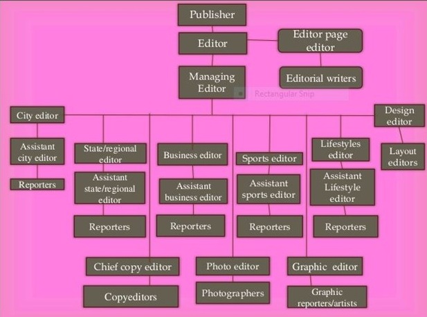 Newspaper Hierarchy Chart