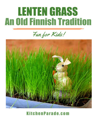 Is This the Year? 🇫🇮