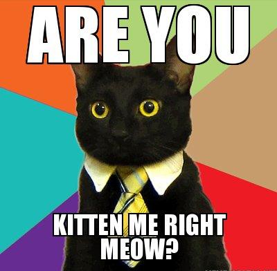 Are you kitten me right meow? - Pets Cute and Docile