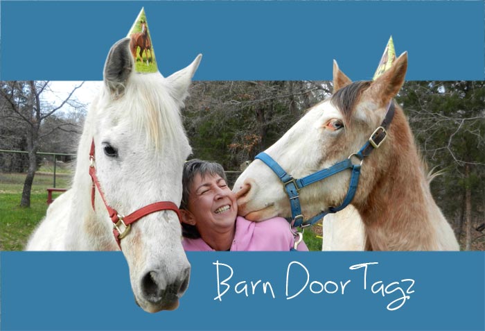 Leah Fry - Barn Door Tagz - Horses and Life