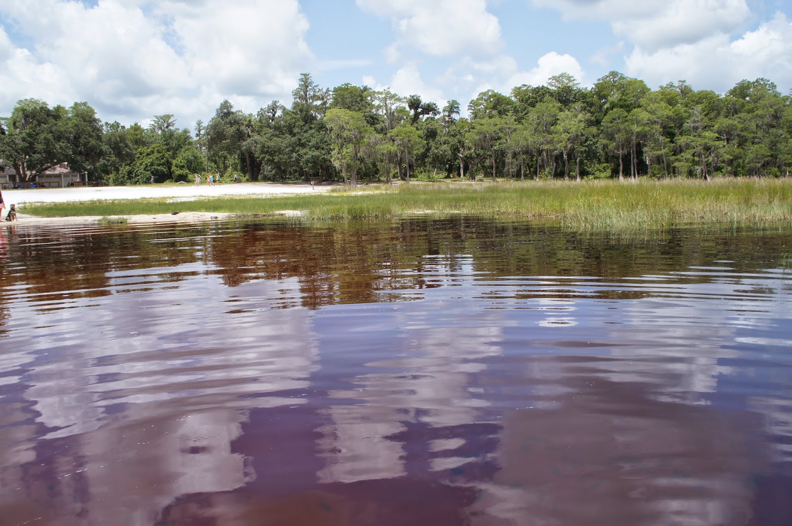Lake Louisa. Unexpectedly Amazing