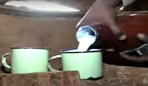 KEFIR Alimento Probiótico Amasi