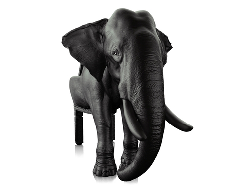 10-Elephant-Maximo-Riera-Animal-Furniture