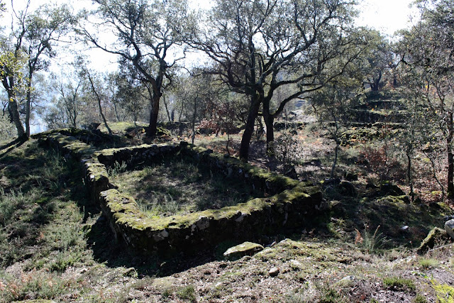 Citânia de Briteiros