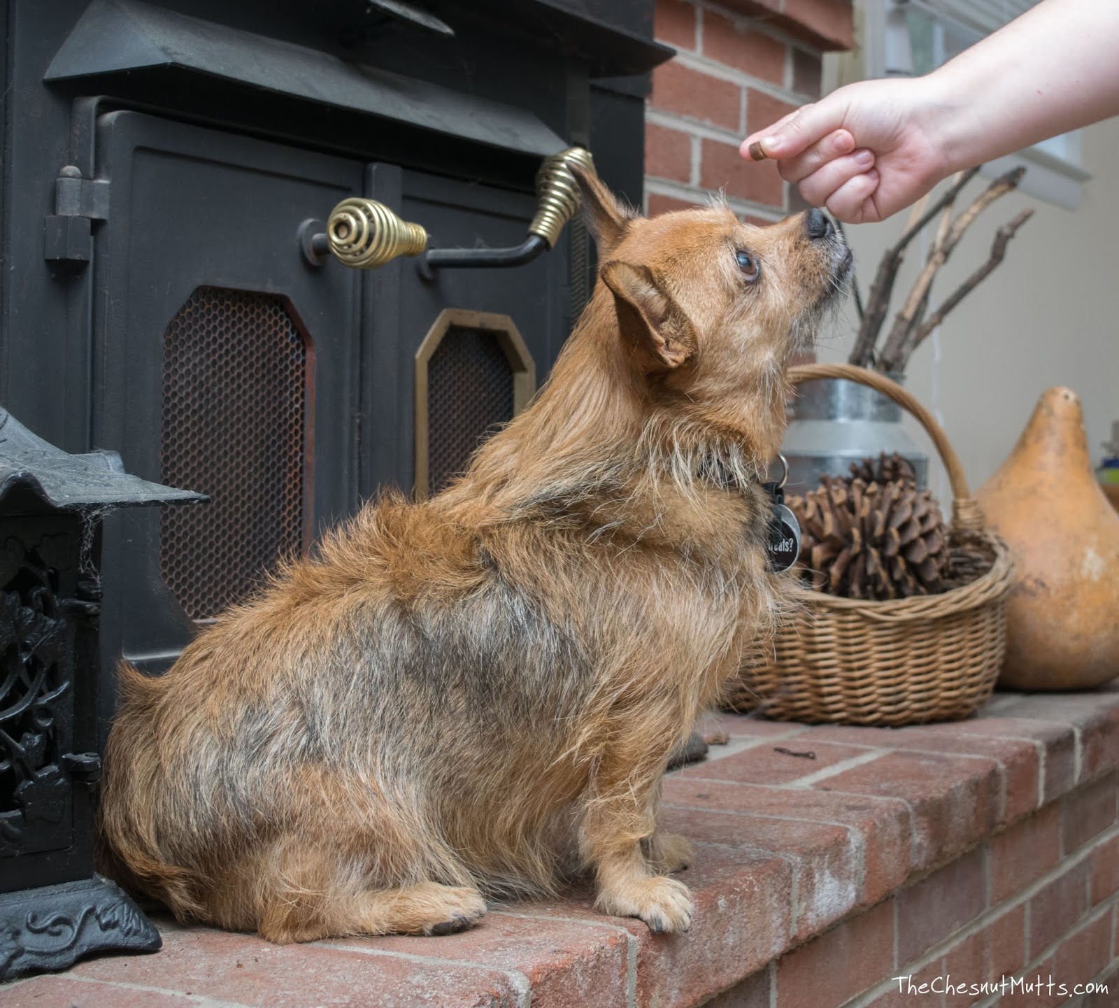 Trick or Treat Giveaway Blog Hop Learn How to Balance Items on Your