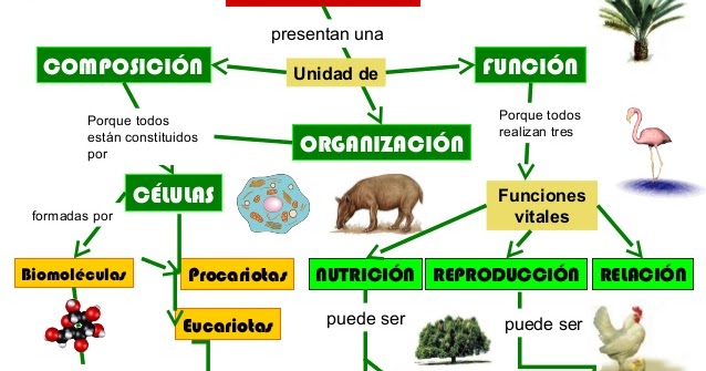 Ciencias Naturales CEUJA 2016: caracteristicas de los seres vivos