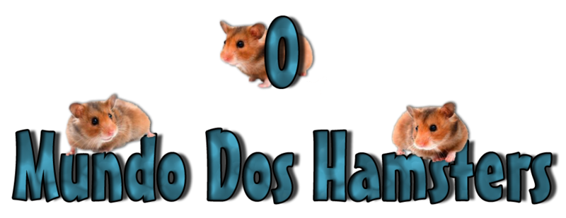 O mundo dos hamsters