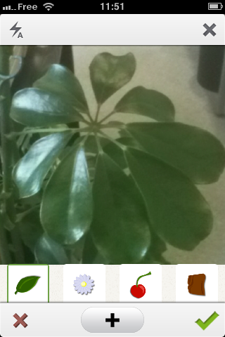 Pl@ntNet App Pl@ntNet App