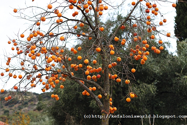 Winter colors of Kefalonia