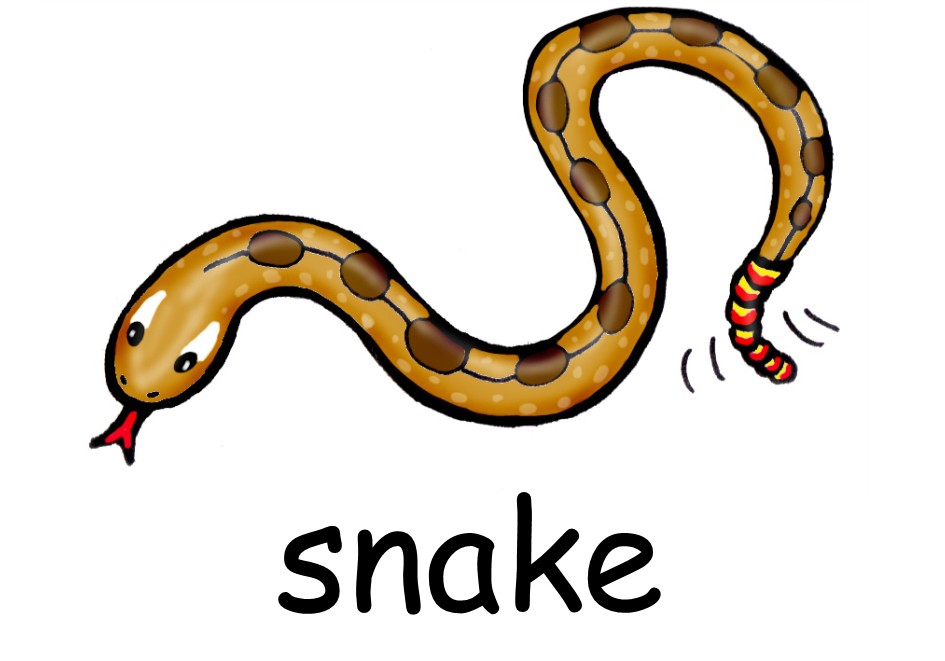 змея на английском. как пишется змея по английски. буква s в английском языке. змея карточка на английском. английский алфавит раскраска для детей.