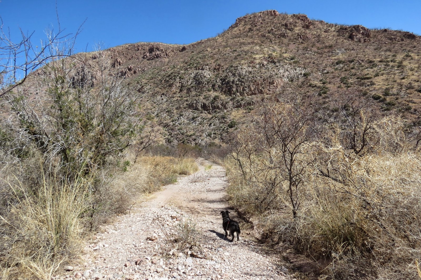 Where's Liz? 2014: Slaughter Ranch, San Bernadino and Leslie Canyon ...