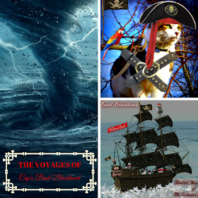 **2015 REVISITED** Tuesday Tails ~ The Extraordinary Voyages of Cap'n Basil Blackheart & His Motley Crew ~ Part II ©BionicBasil® 