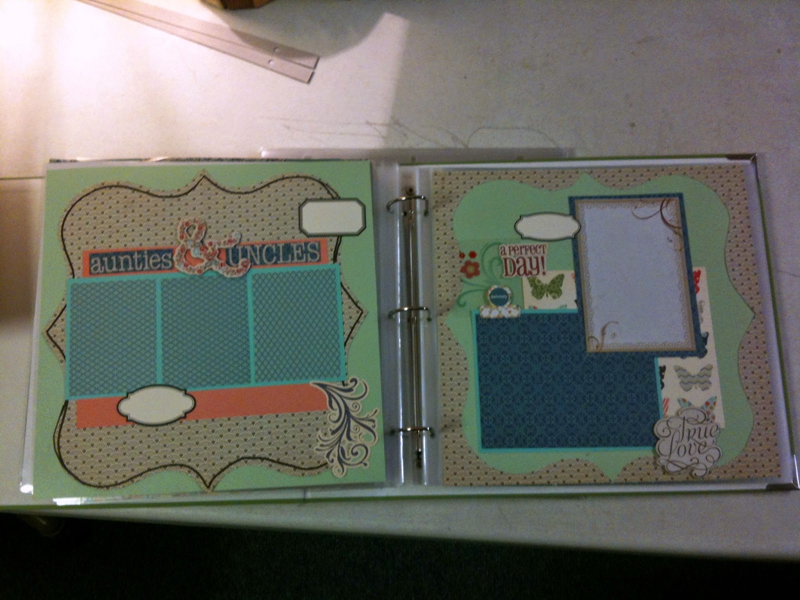 Nana Bluebird Design Baby Book Project