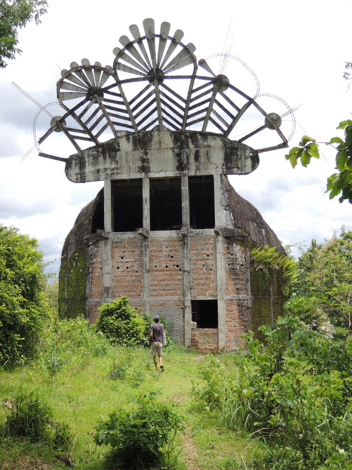 Burung Gereja Masuk Rumah Apa Artinya