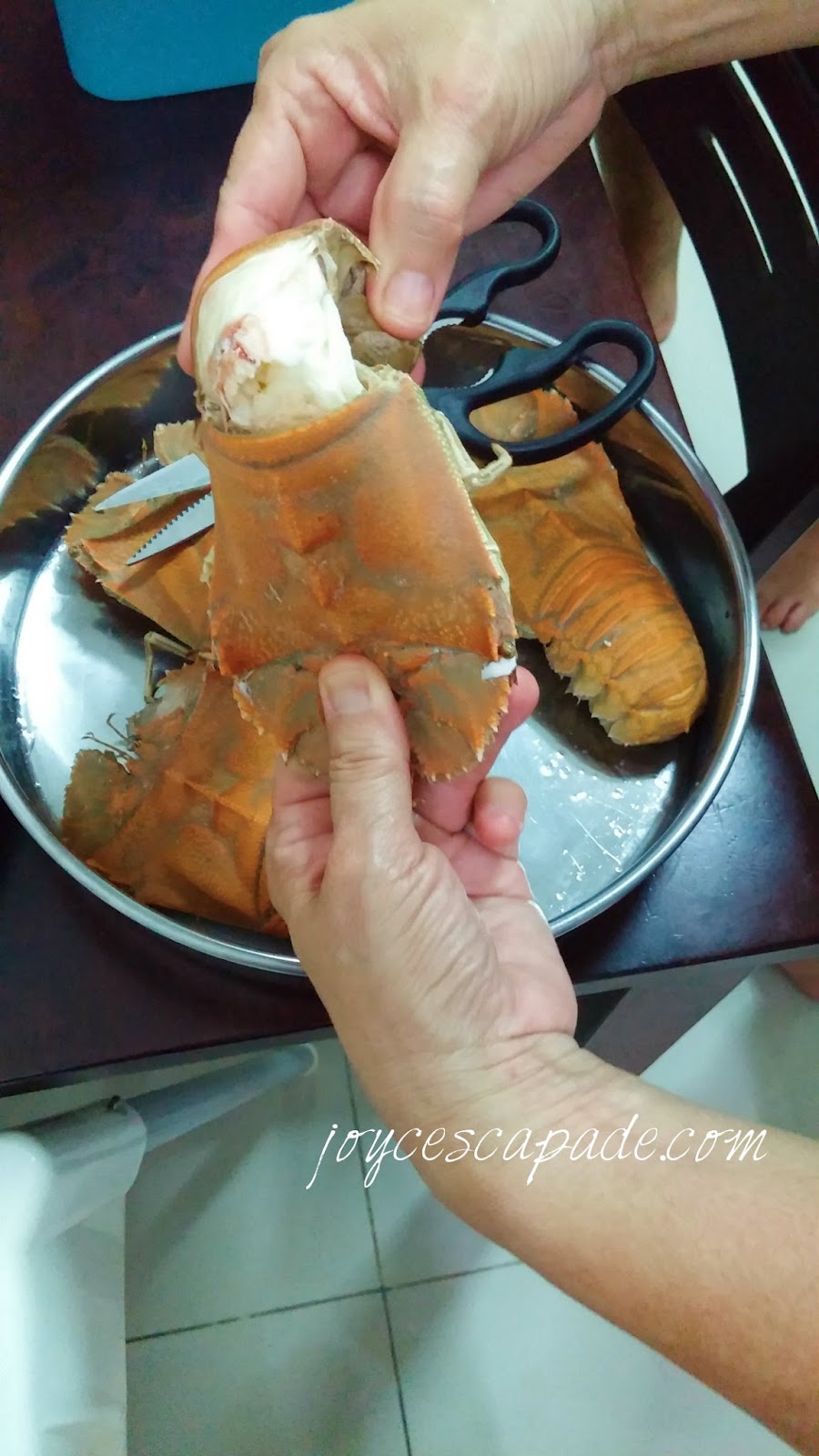 How to eat slipper lobsters (udang ketak)? Joy 'N' Escapade