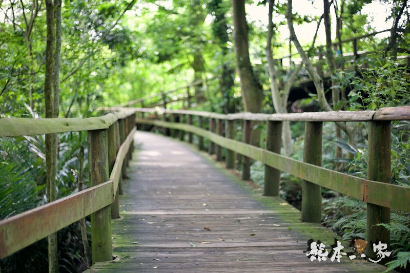 苗栗飛牛牧場|飛牛廣場、牧場工房、庭園木屋、牧場原憩、童玩區|園區環境