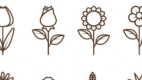 42+ Amazing Simple Protea Outline