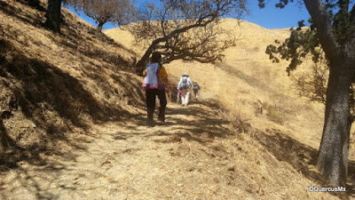 Sierra Vista Trail