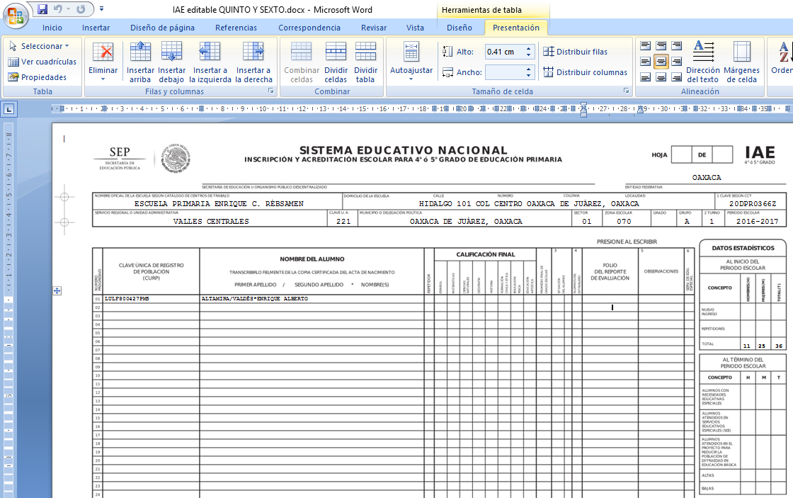 formato ms word