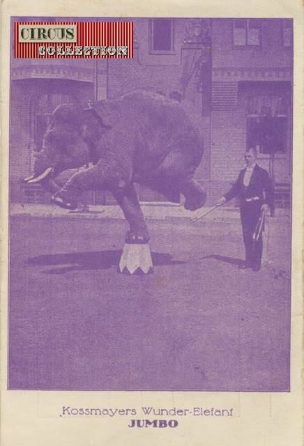 Kossmayer Wunder-Elefant Jumbo