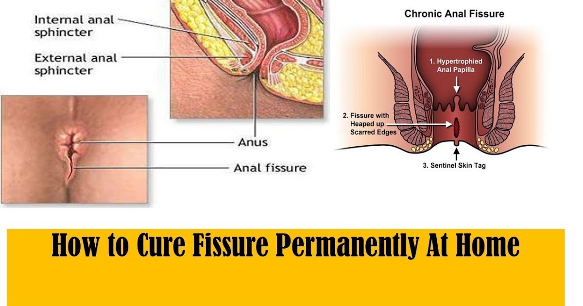 Internal anal sphincter innervation