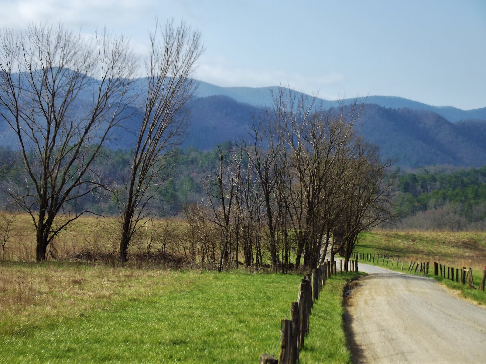 MY MOUNTAINS Early April in Great Smoky Mountains National Park