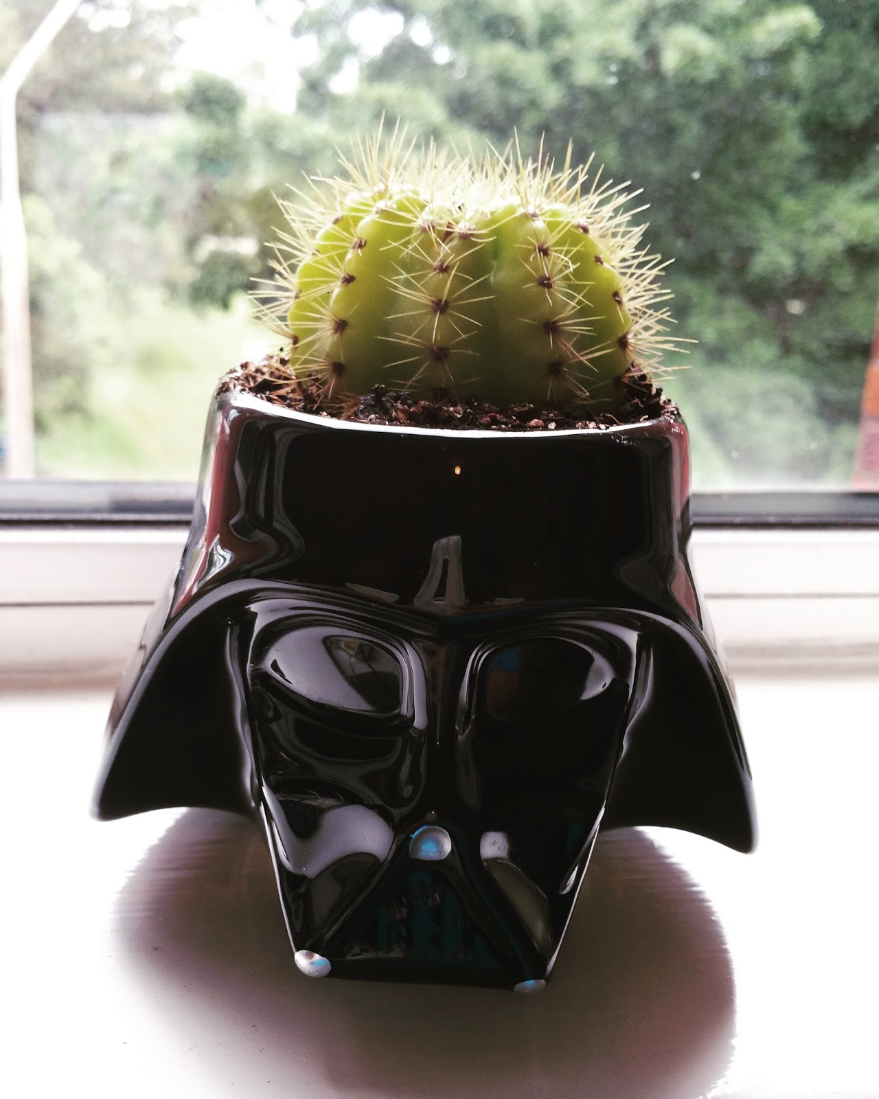 darth vader plant pot