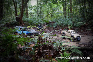 [PHOTOS] 20160424 - Rifle Range Road - Durian Loop Trail Photos DSC02823