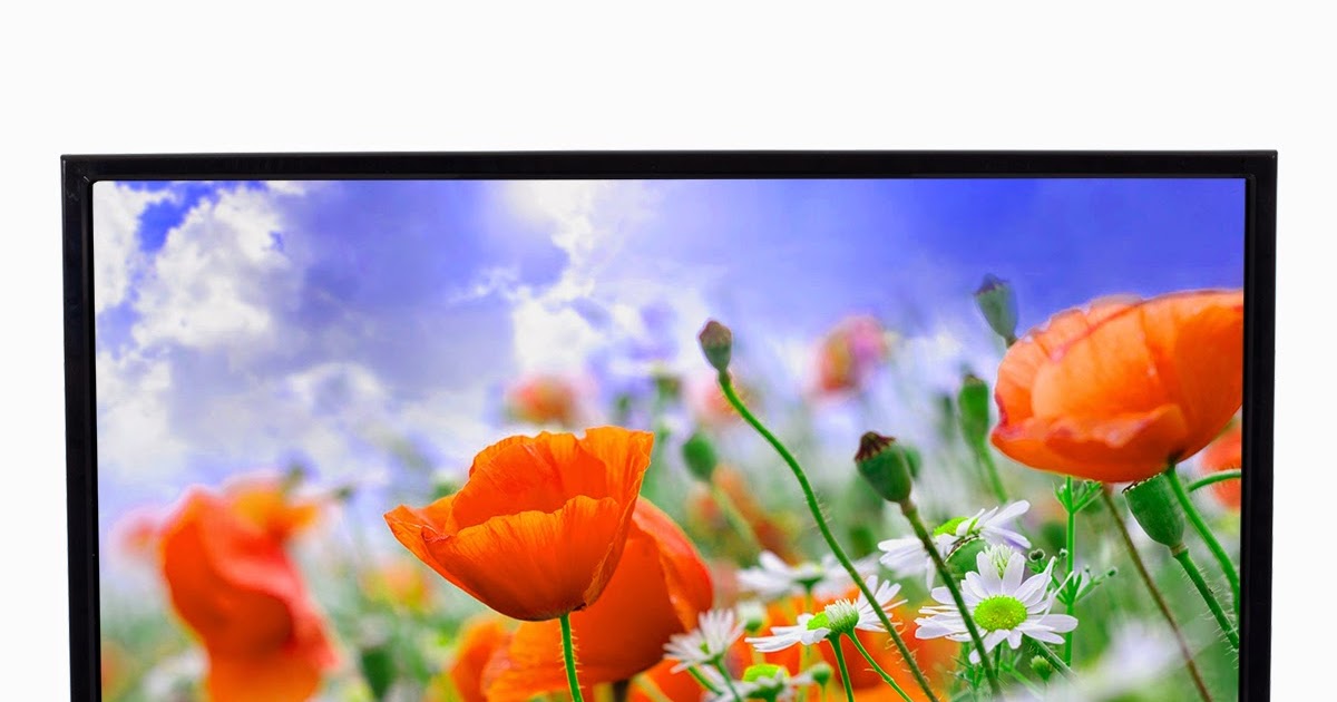 Haier или xiaomi телевизор