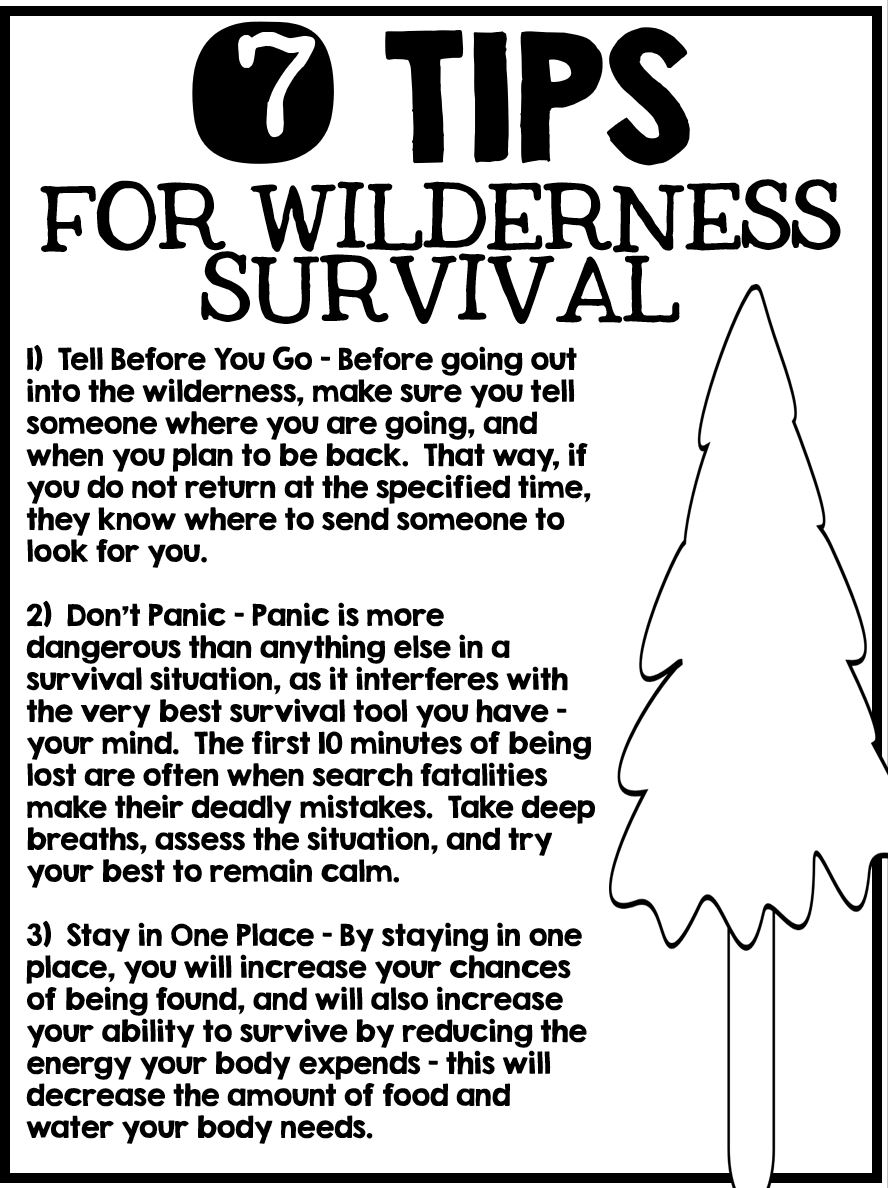 Creative Classroom Core: Exploring Gary Paulsen's Hatchet