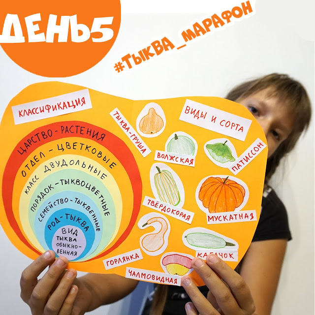 Тематическая неделька Тыква для детей